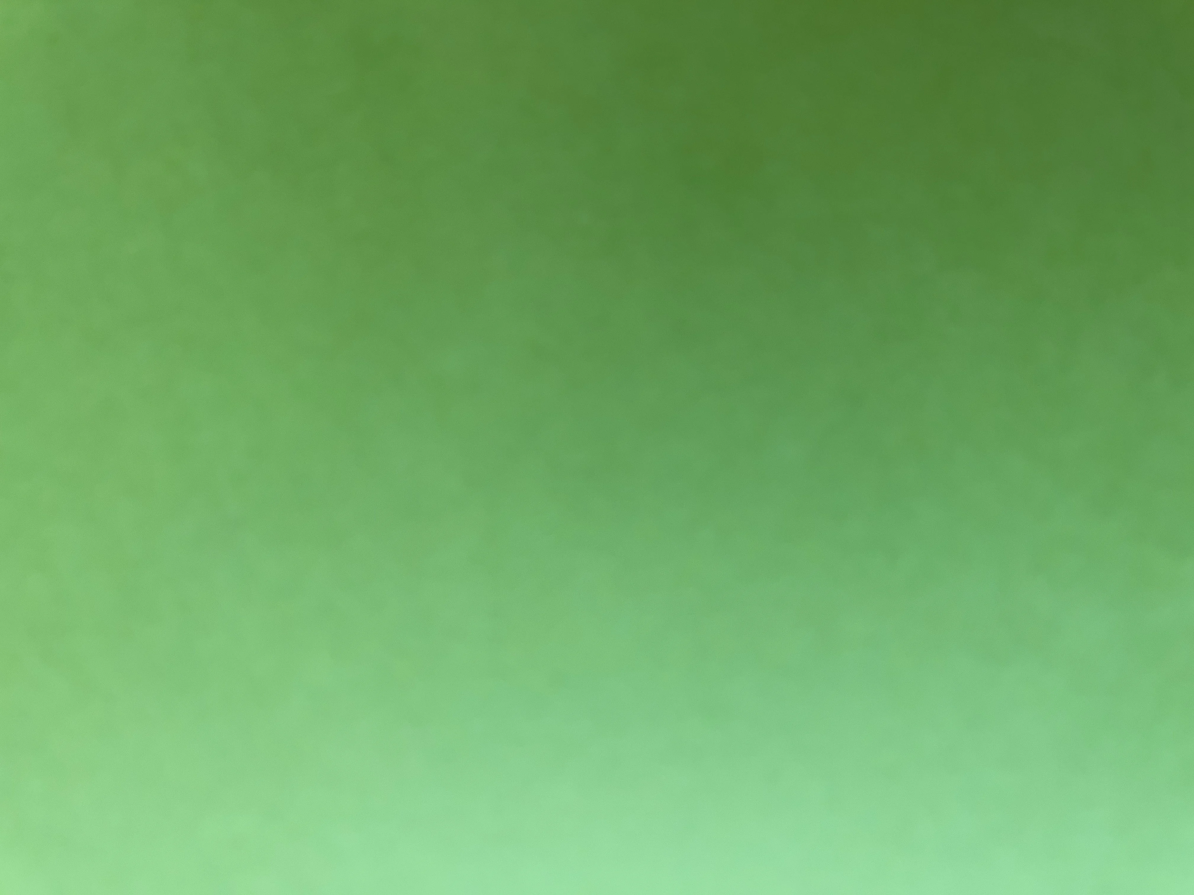 Image de profil