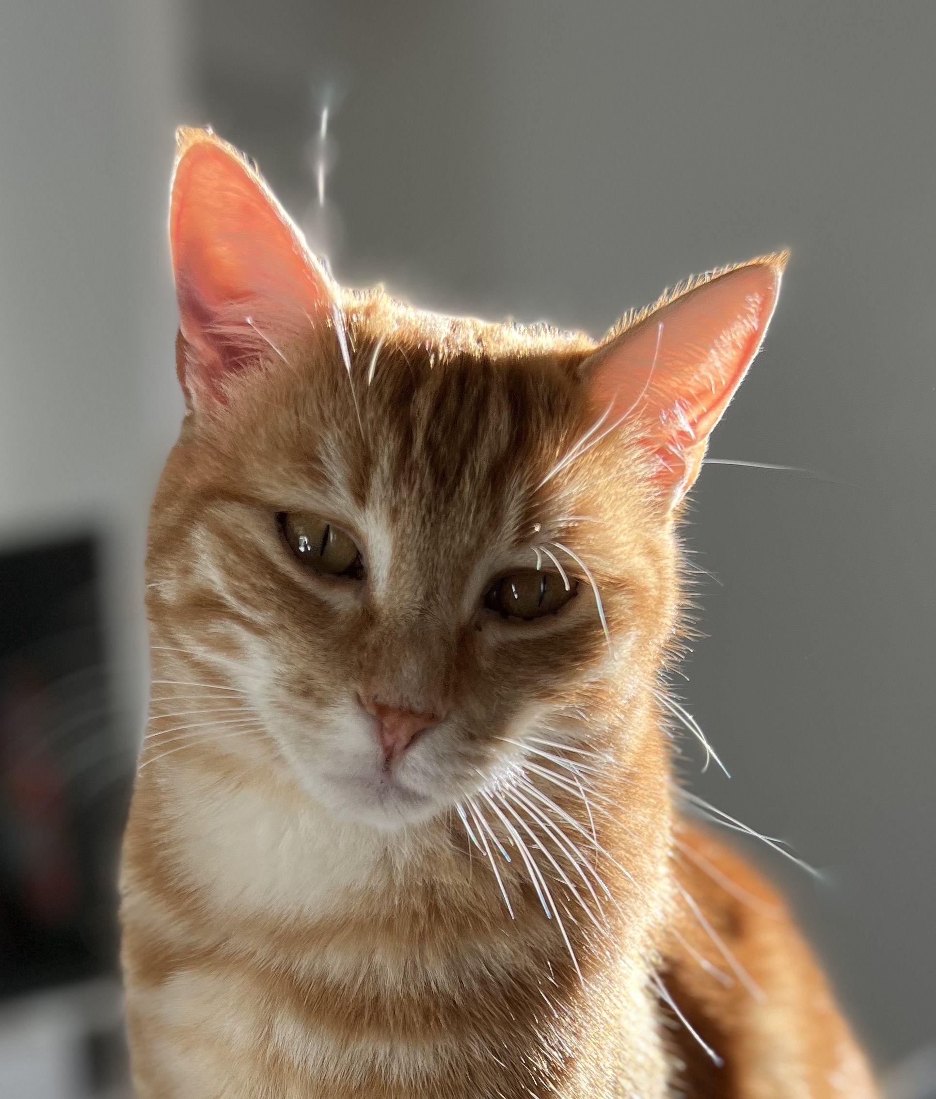 Image de profil