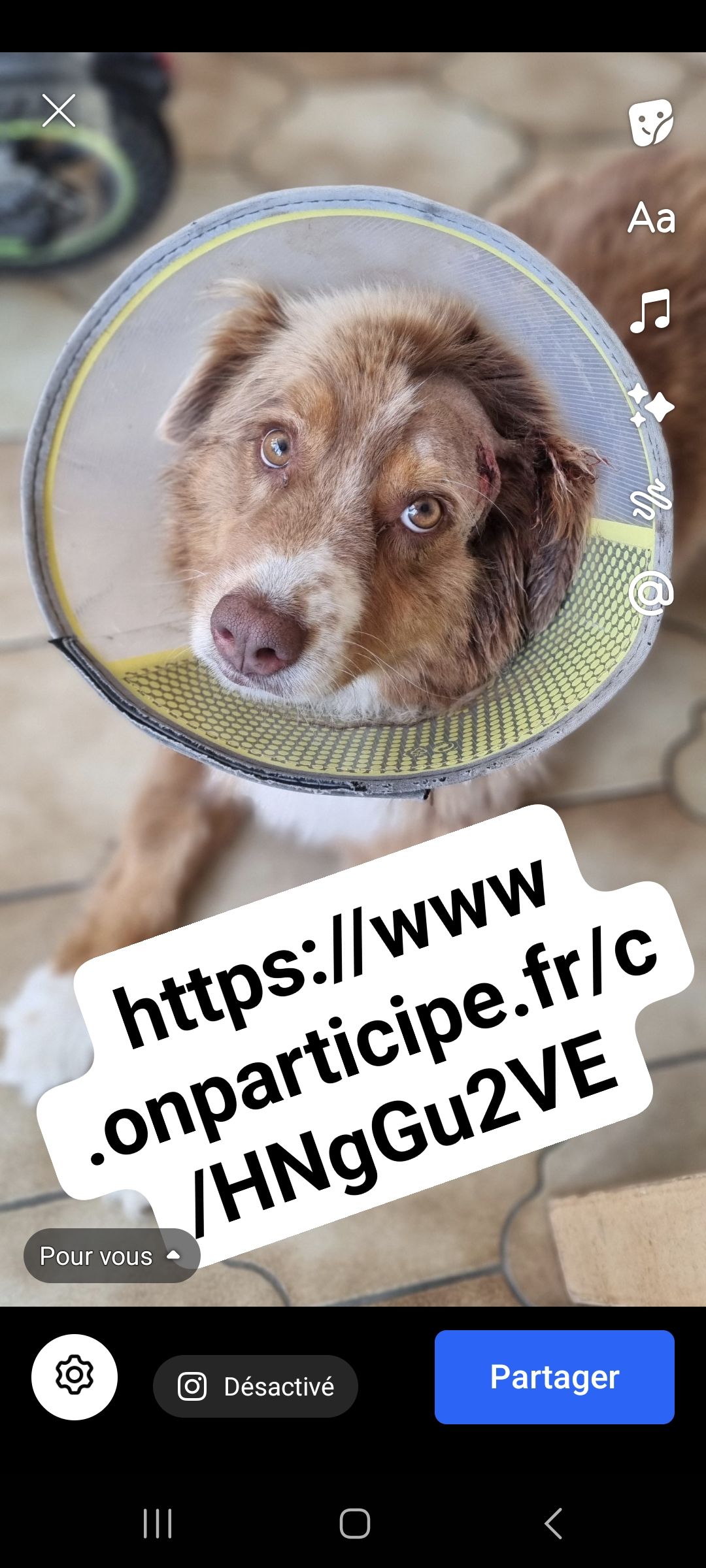 Image de profil