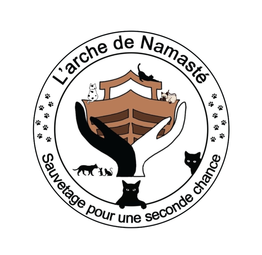 Image de profil