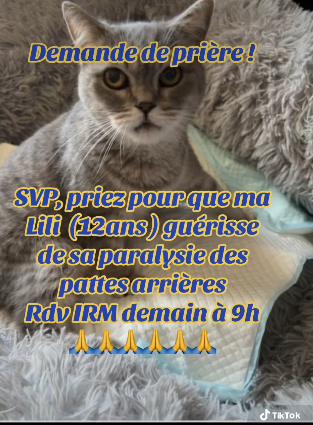 Image de profil