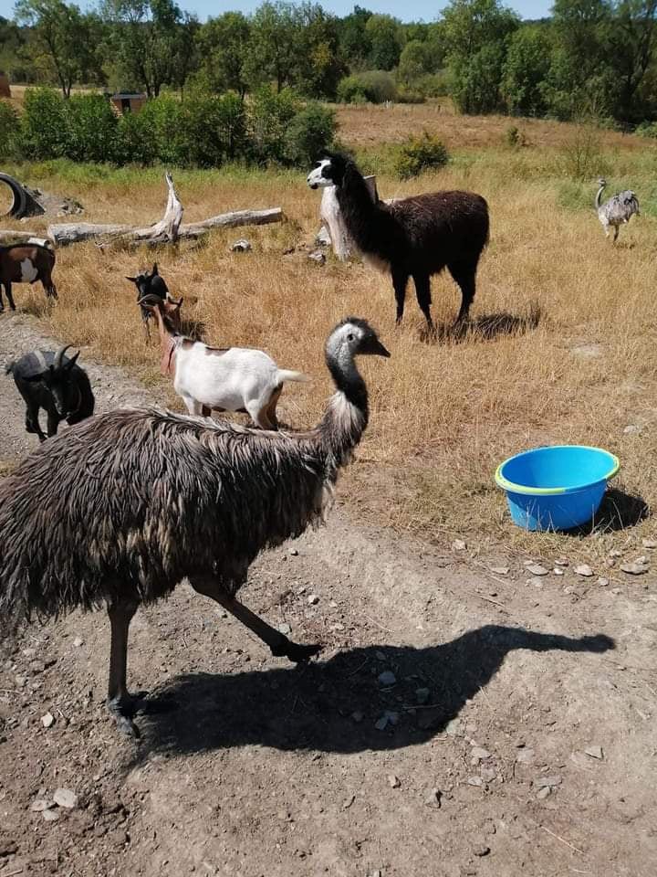 Image de profil