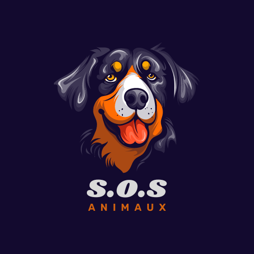 Image de profil