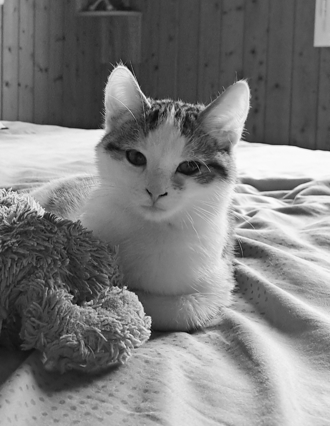 Image de profil