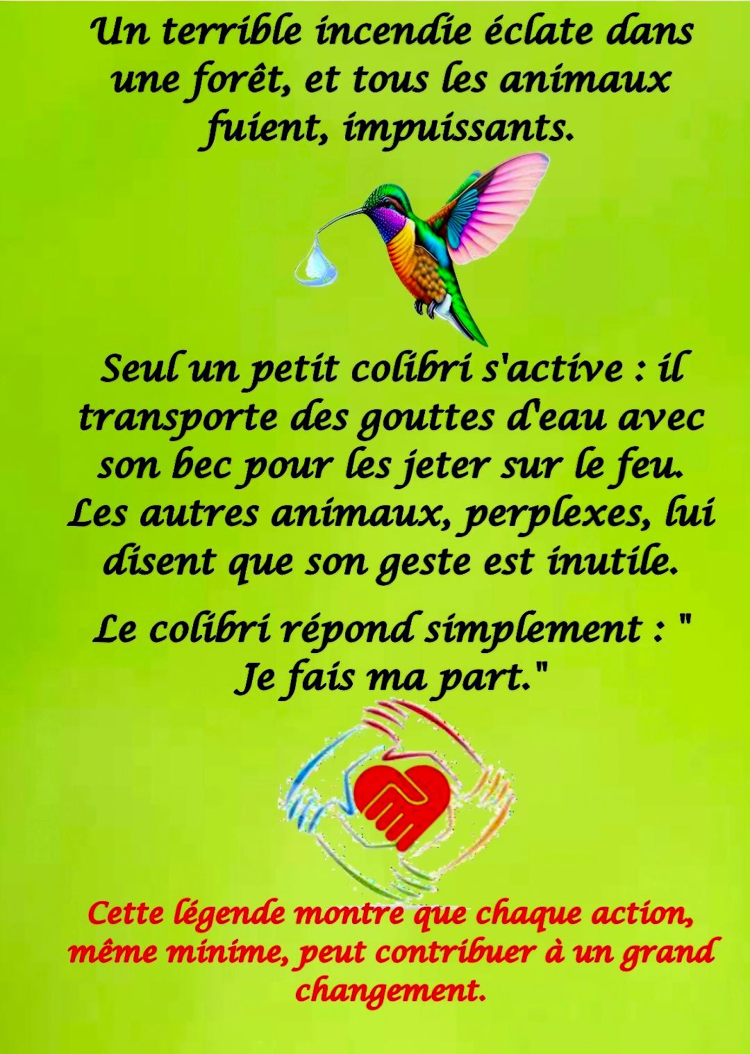 Image de profil