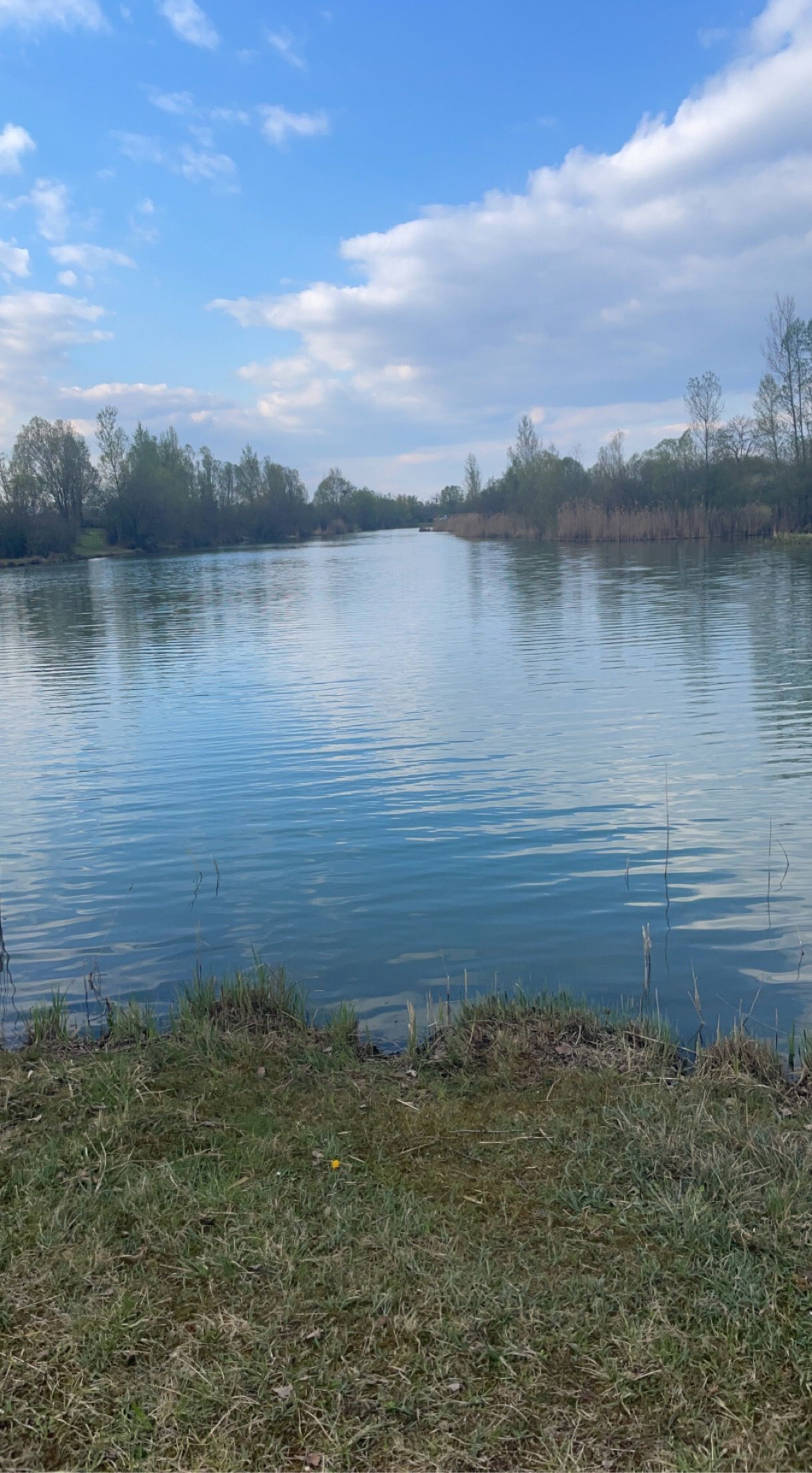 Image de profil