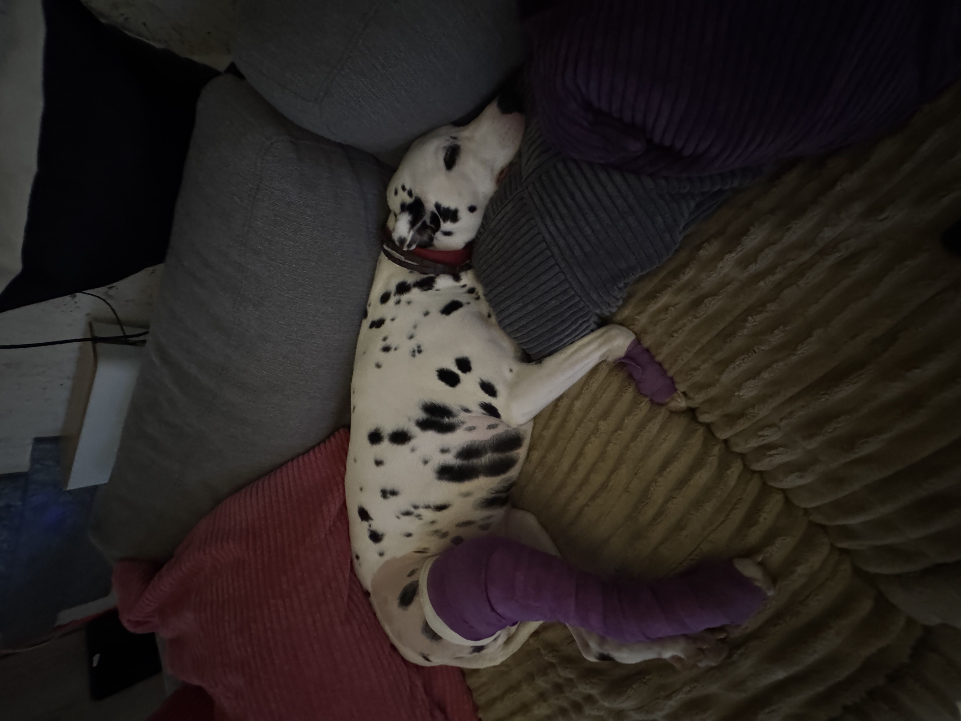 Image de profil