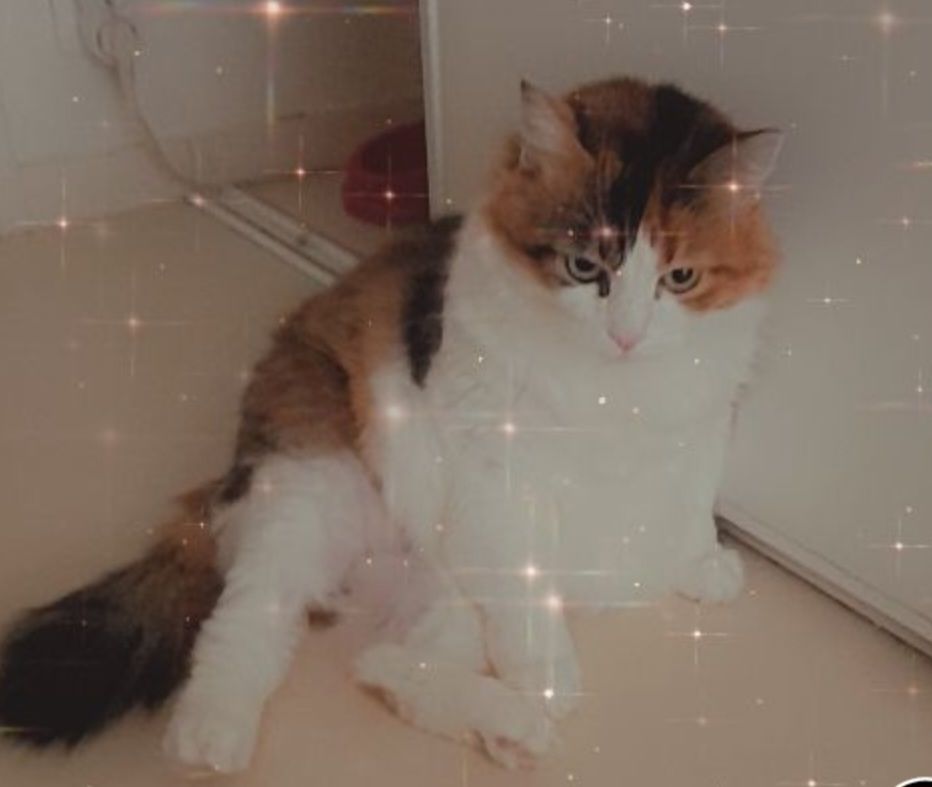 Image de profil