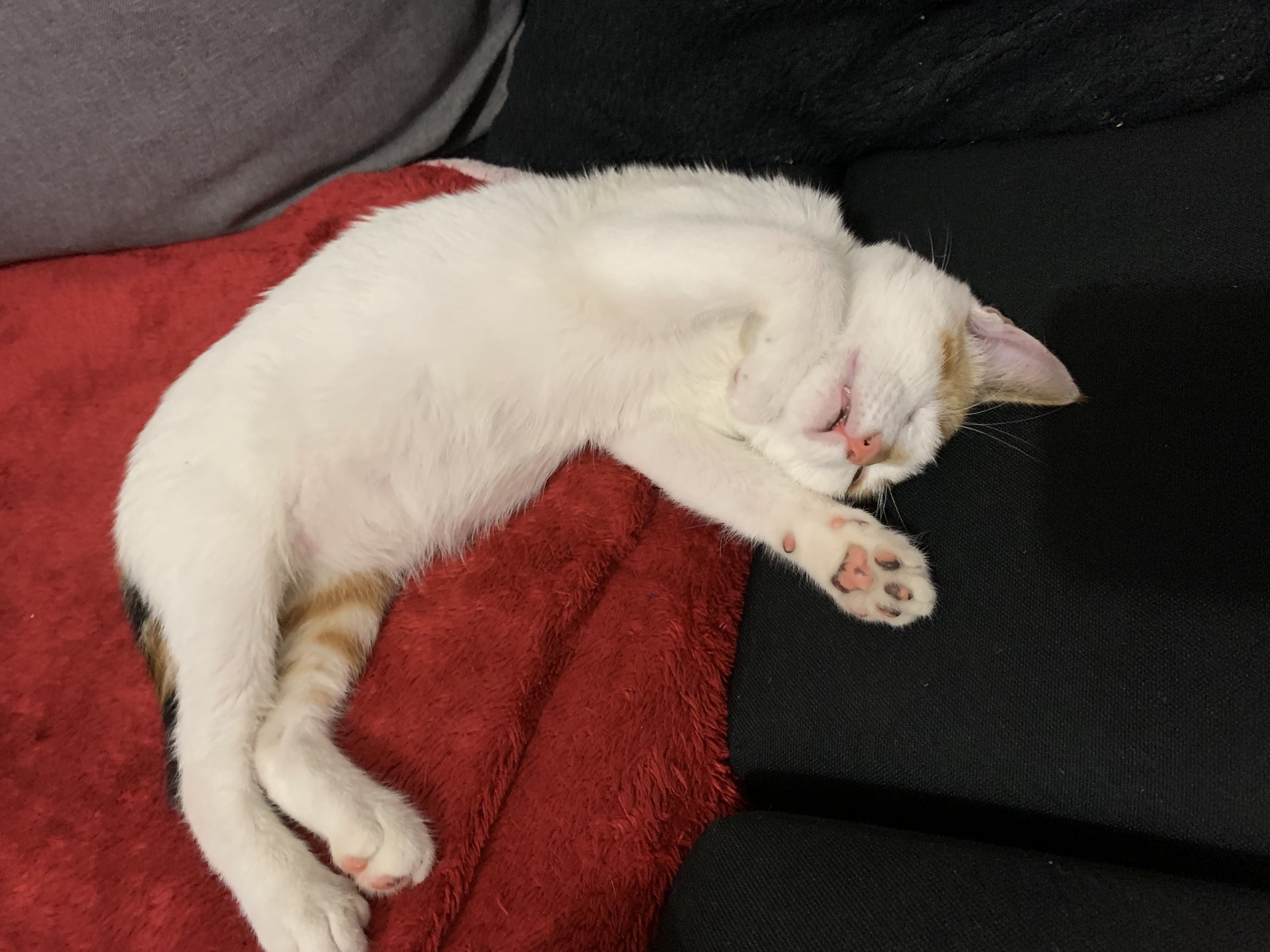 Image de profil