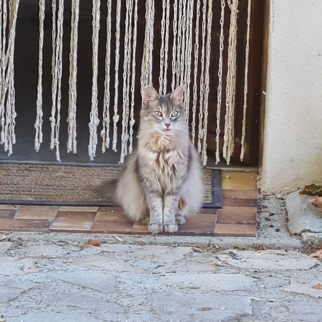 Image de profil