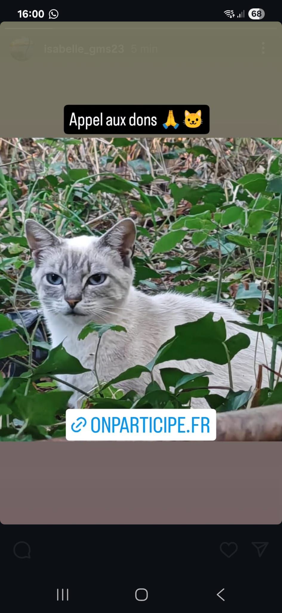 Image de profil
