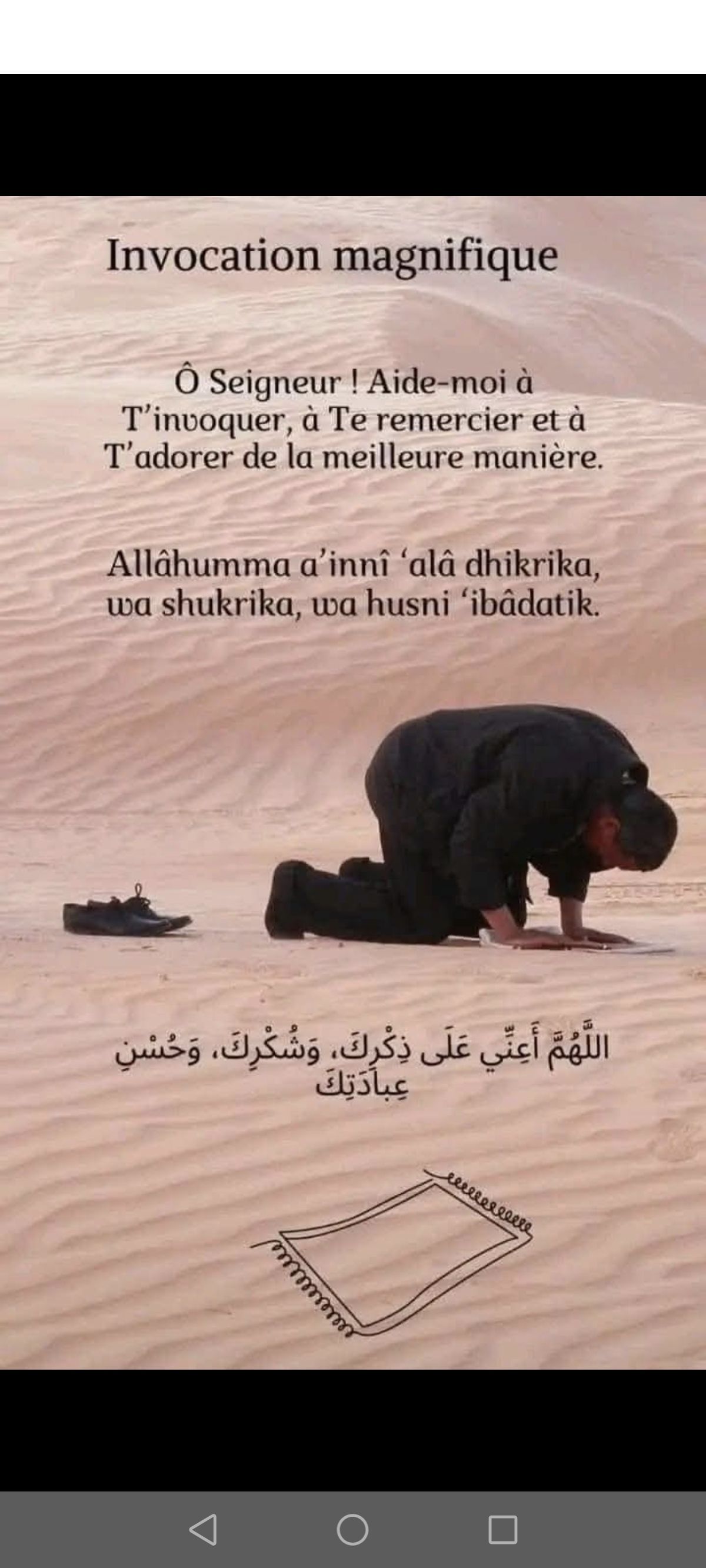 Image de profil