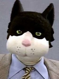 Image de profil