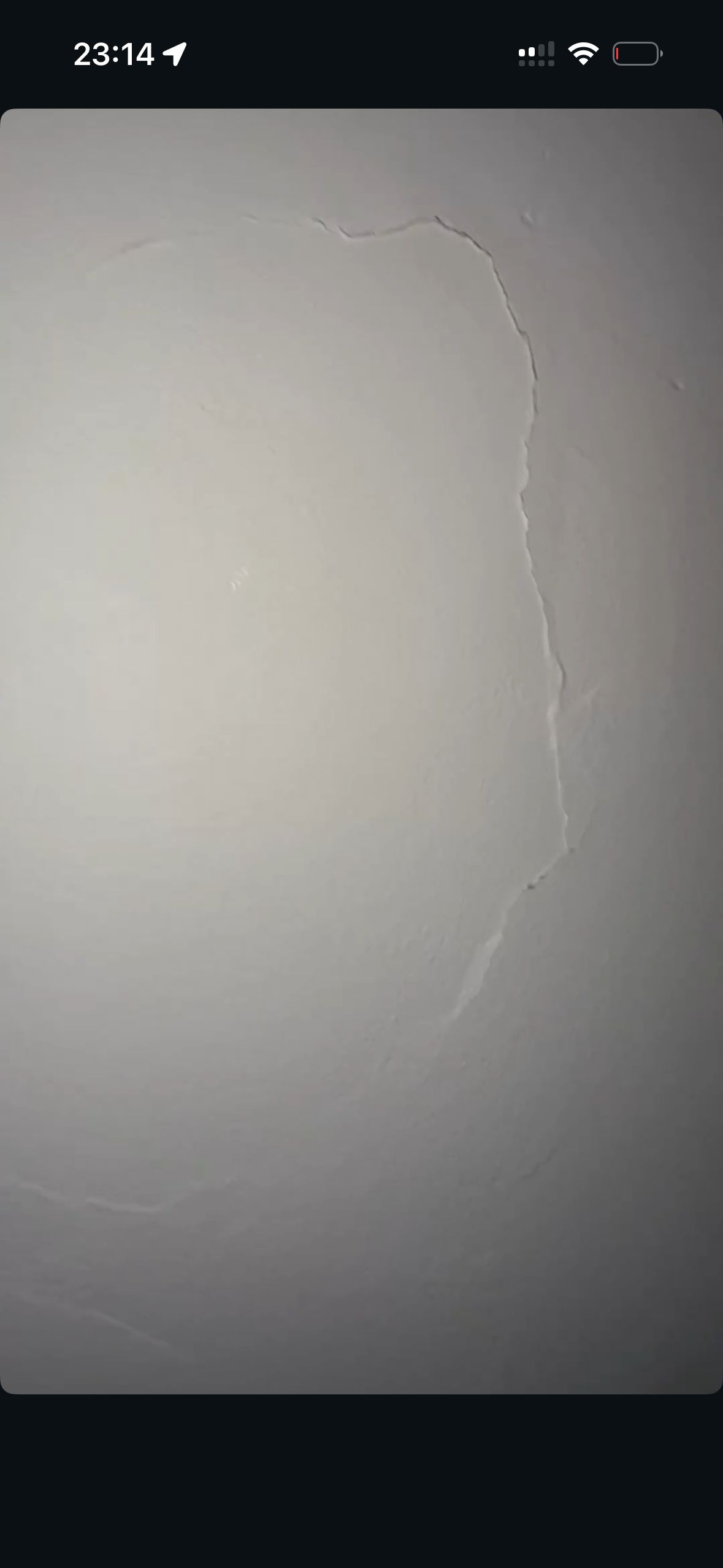 Image de profil