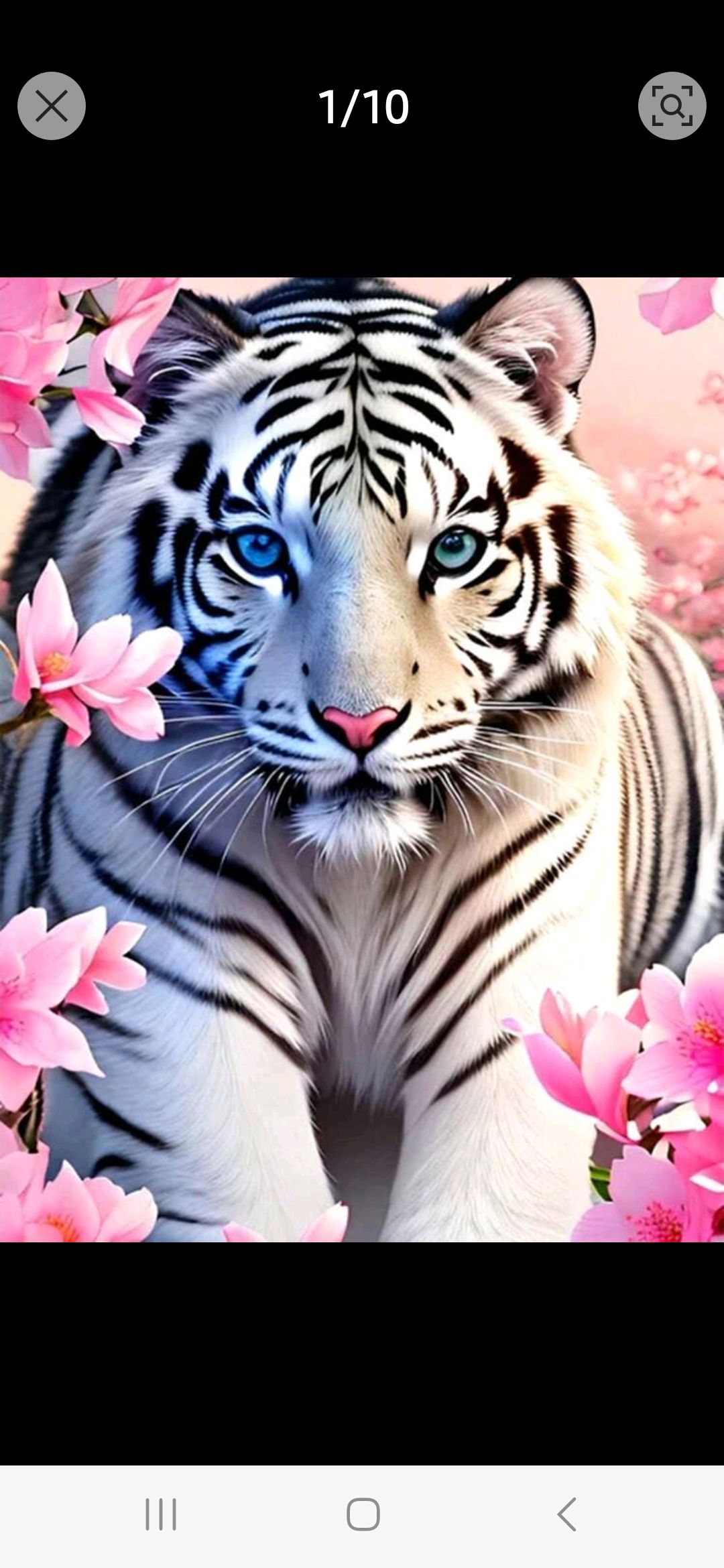 Image de profil