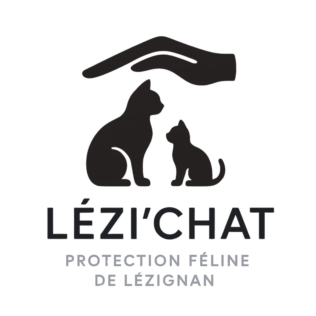 Image de profil