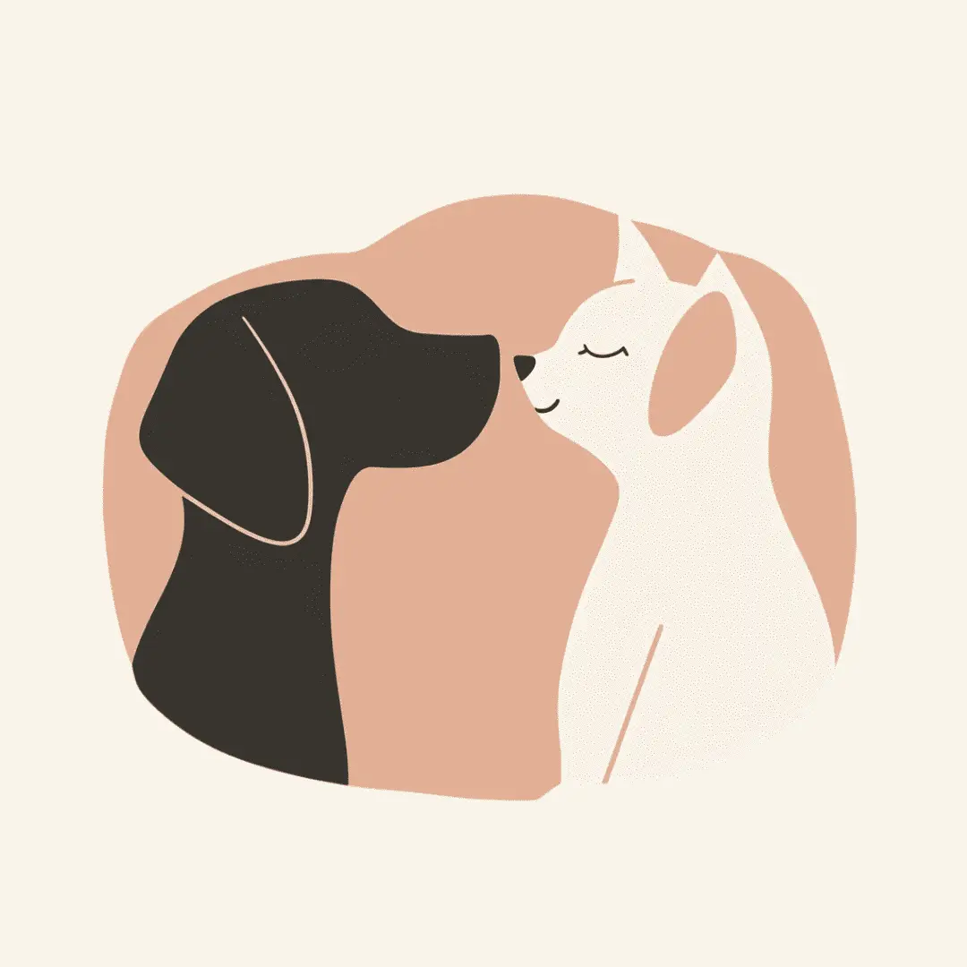 cagnotte cause animale