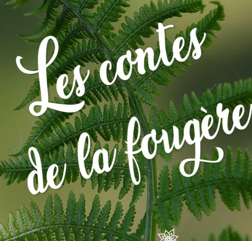 Publication des contes de la fougère OnParticipe